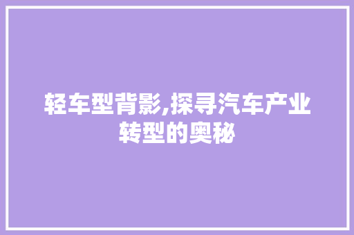 轻车型背影,探寻汽车产业转型的奥秘