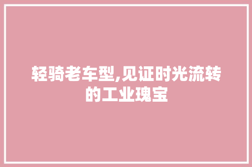 轻骑老车型,见证时光流转的工业瑰宝