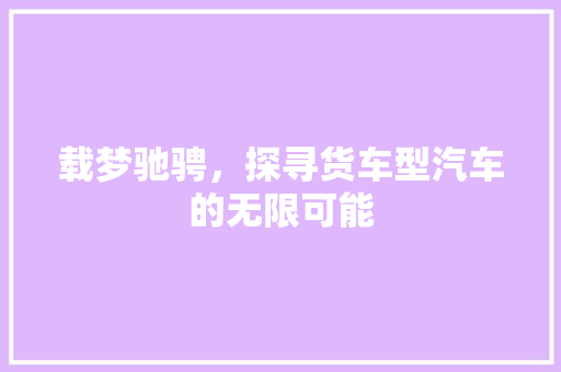 载梦驰骋，探寻货车型汽车的无限可能