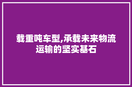 载重吨车型,承载未来物流运输的坚实基石