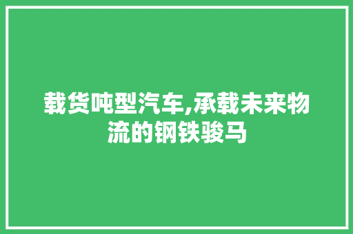 载货吨型汽车,承载未来物流的钢铁骏马