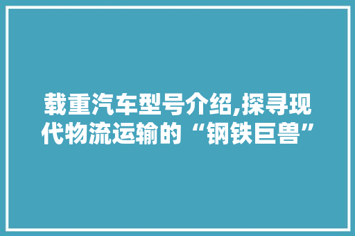 载重汽车型号介绍,探寻现代物流运输的“钢铁巨兽”