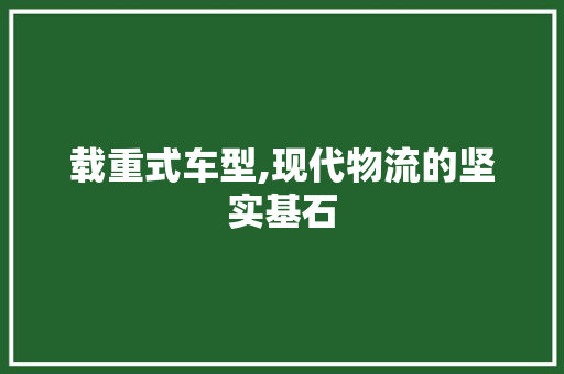 载重式车型,现代物流的坚实基石