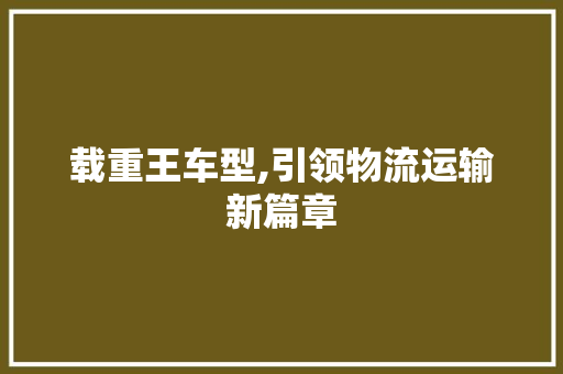 载重王车型,引领物流运输新篇章