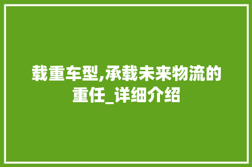 载重车型,承载未来物流的重任_详细介绍