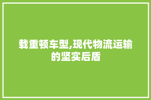 载重顿车型,现代物流运输的坚实后盾