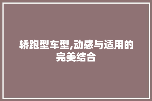 轿跑型车型,动感与适用的完美结合