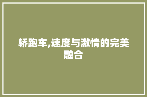 轿跑车,速度与激情的完美融合