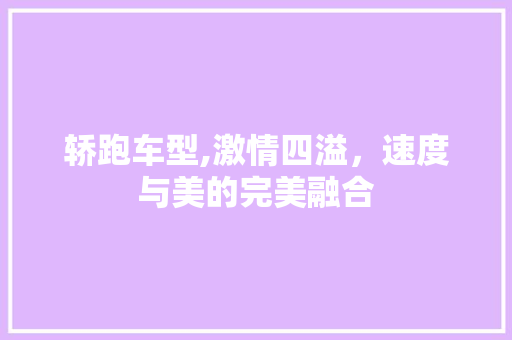 轿跑车型,激情四溢，速度与美的完美融合