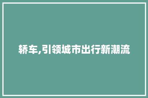 轿车,引领城市出行新潮流