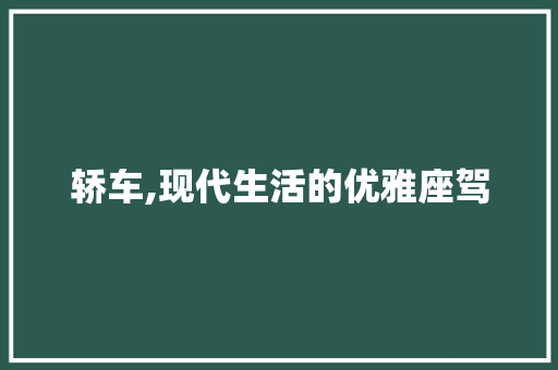 轿车,现代生活的优雅座驾