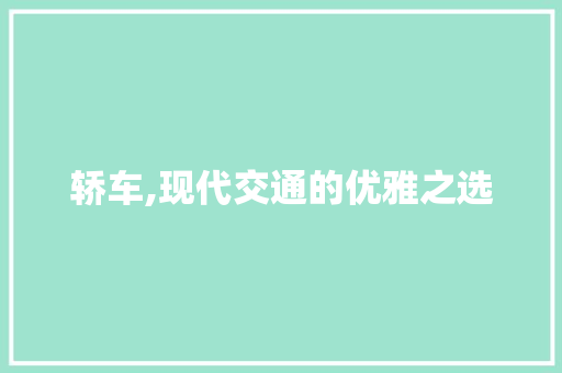 轿车,现代交通的优雅之选