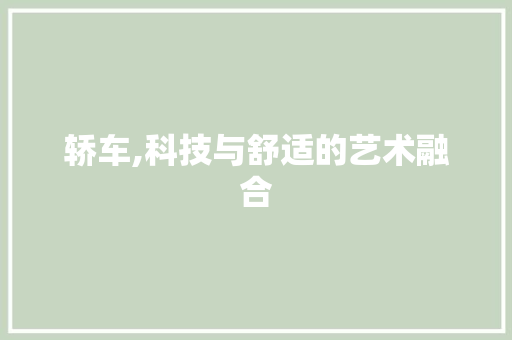 轿车,科技与舒适的艺术融合