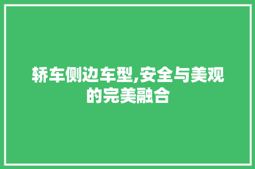 轿车侧边车型,安全与美观的完美融合
