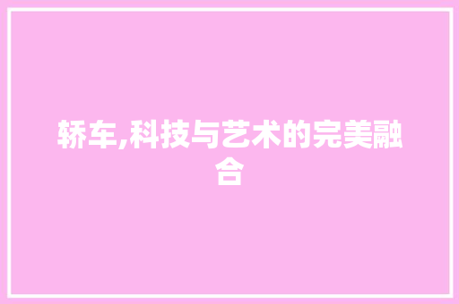 轿车,科技与艺术的完美融合