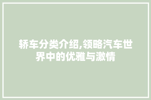 轿车分类介绍,领略汽车世界中的优雅与激情