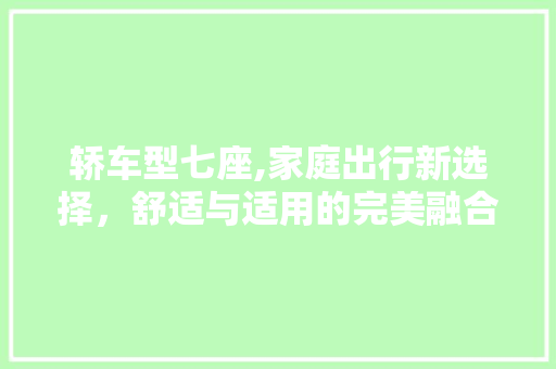 轿车型七座,家庭出行新选择，舒适与适用的完美融合