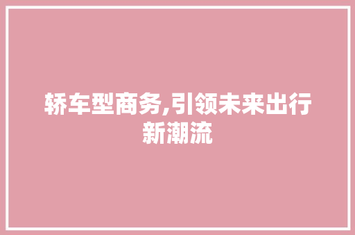轿车型商务,引领未来出行新潮流