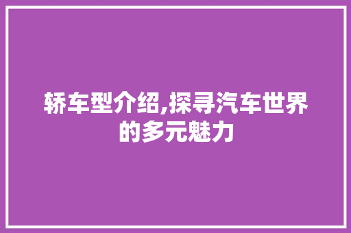 轿车型介绍,探寻汽车世界的多元魅力