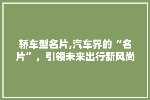 轿车型名片,汽车界的“名片”，引领未来出行新风尚