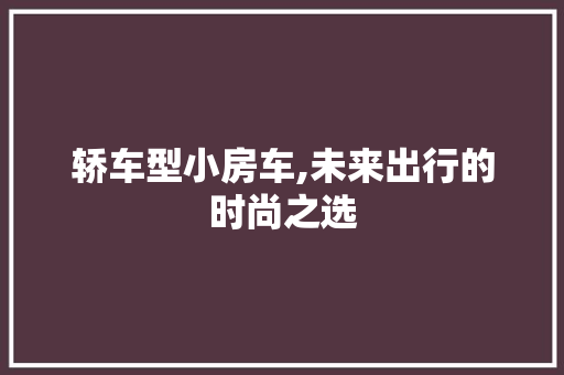 轿车型小房车,未来出行的时尚之选