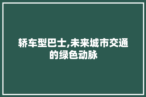 轿车型巴士,未来城市交通的绿色动脉 新款车型