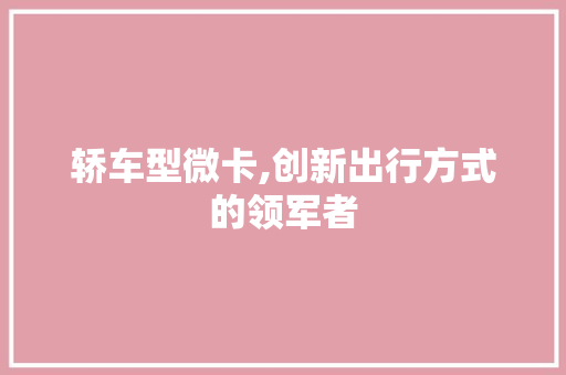 轿车型微卡,创新出行方式的领军者