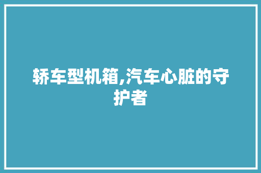轿车型机箱,汽车心脏的守护者
