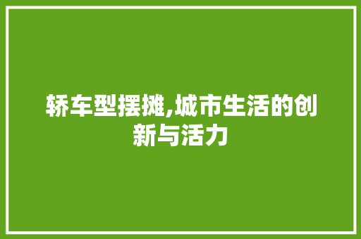 轿车型摆摊,城市生活的创新与活力