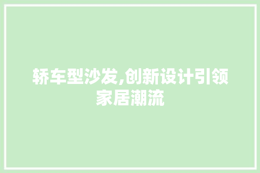 轿车型沙发,创新设计引领家居潮流