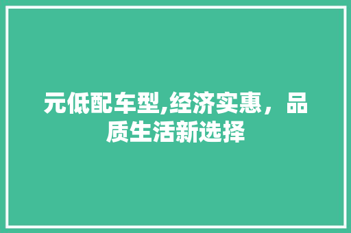 元低配车型,经济实惠，品质生活新选择