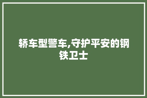 轿车型警车,守护平安的钢铁卫士