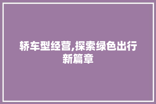 轿车型经营,探索绿色出行新篇章