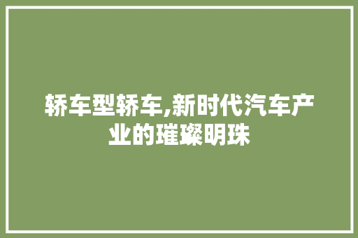 轿车型轿车,新时代汽车产业的璀璨明珠