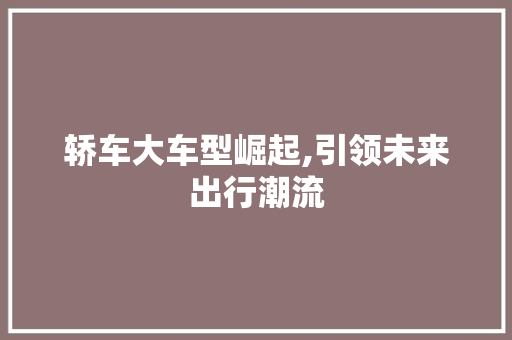 轿车大车型崛起,引领未来出行潮流