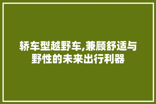 轿车型越野车,兼顾舒适与野性的未来出行利器
