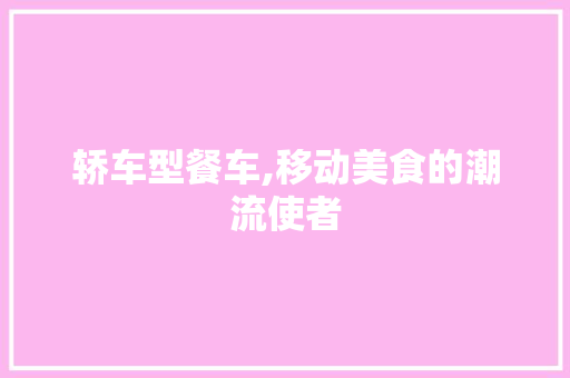 轿车型餐车,移动美食的潮流使者