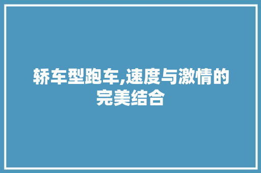 轿车型跑车,速度与激情的完美结合