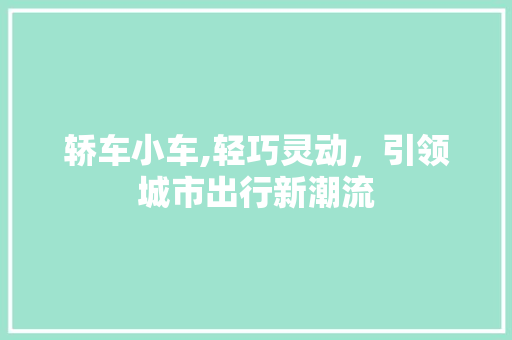 轿车小车,轻巧灵动，引领城市出行新潮流