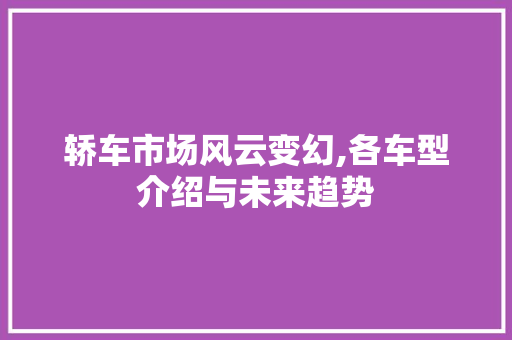 轿车市场风云变幻,各车型介绍与未来趋势