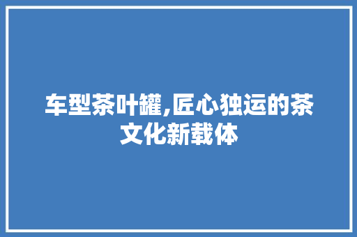 车型茶叶罐,匠心独运的茶文化新载体