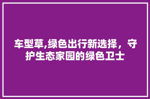 车型草,绿色出行新选择，守护生态家园的绿色卫士