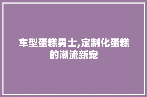 车型蛋糕男士,定制化蛋糕的潮流新宠