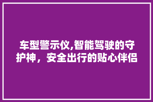 车型警示仪,智能驾驶的守护神，安全出行的贴心伴侣