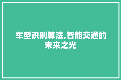 车型识别算法,智能交通的未来之光 新能源汽车