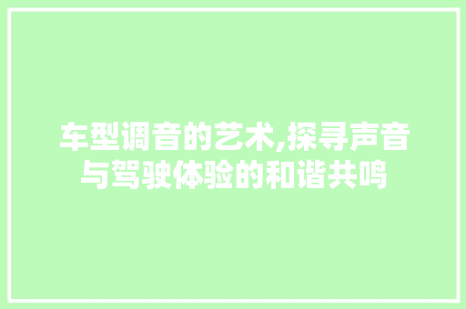 车型调音的艺术,探寻声音与驾驶体验的和谐共鸣 汽车配件