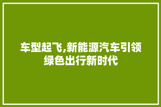 车型起飞,新能源汽车引领绿色出行新时代