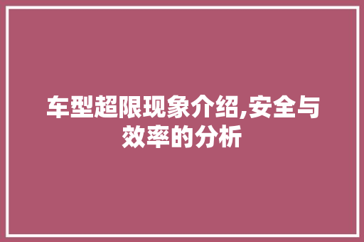 车型超限现象介绍,安全与效率的分析