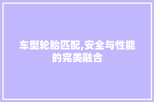 车型轮胎匹配,安全与性能的完美融合