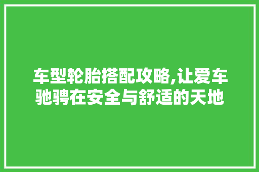 车型轮胎搭配攻略,让爱车驰骋在安全与舒适的天地